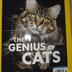 National Geographic Feline Masterminds— Brown Tabby with Yellow Eyes